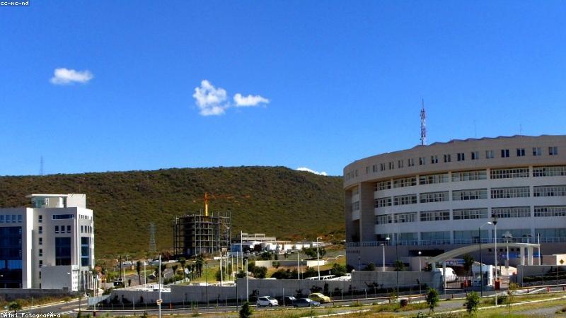 溏心vlog在线观看免费的智能商业解决方案数据看板界面
